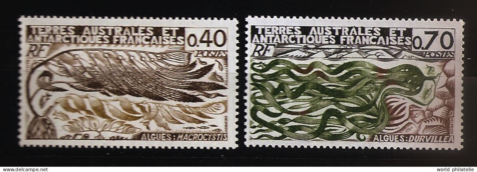 TAAF Terres Australes 1977 N° 68 / 9 ** Botanique, Poissons, Algues, Macrocystis, Durvillea, Laminariaceae, Thalles - Neufs