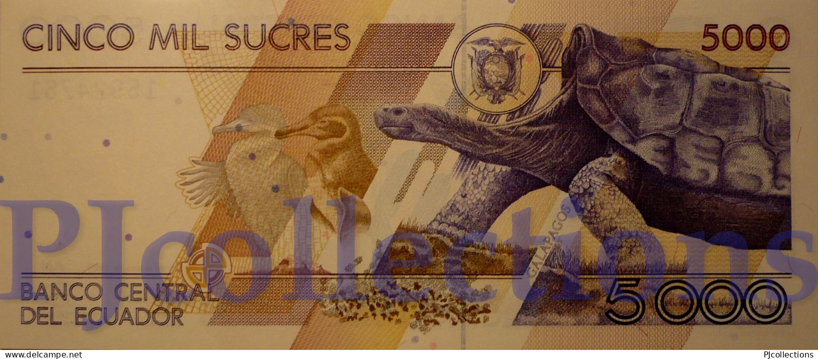 ECUADOR 5000 SUCRES 1999 PICK 128c UNC - Equateur