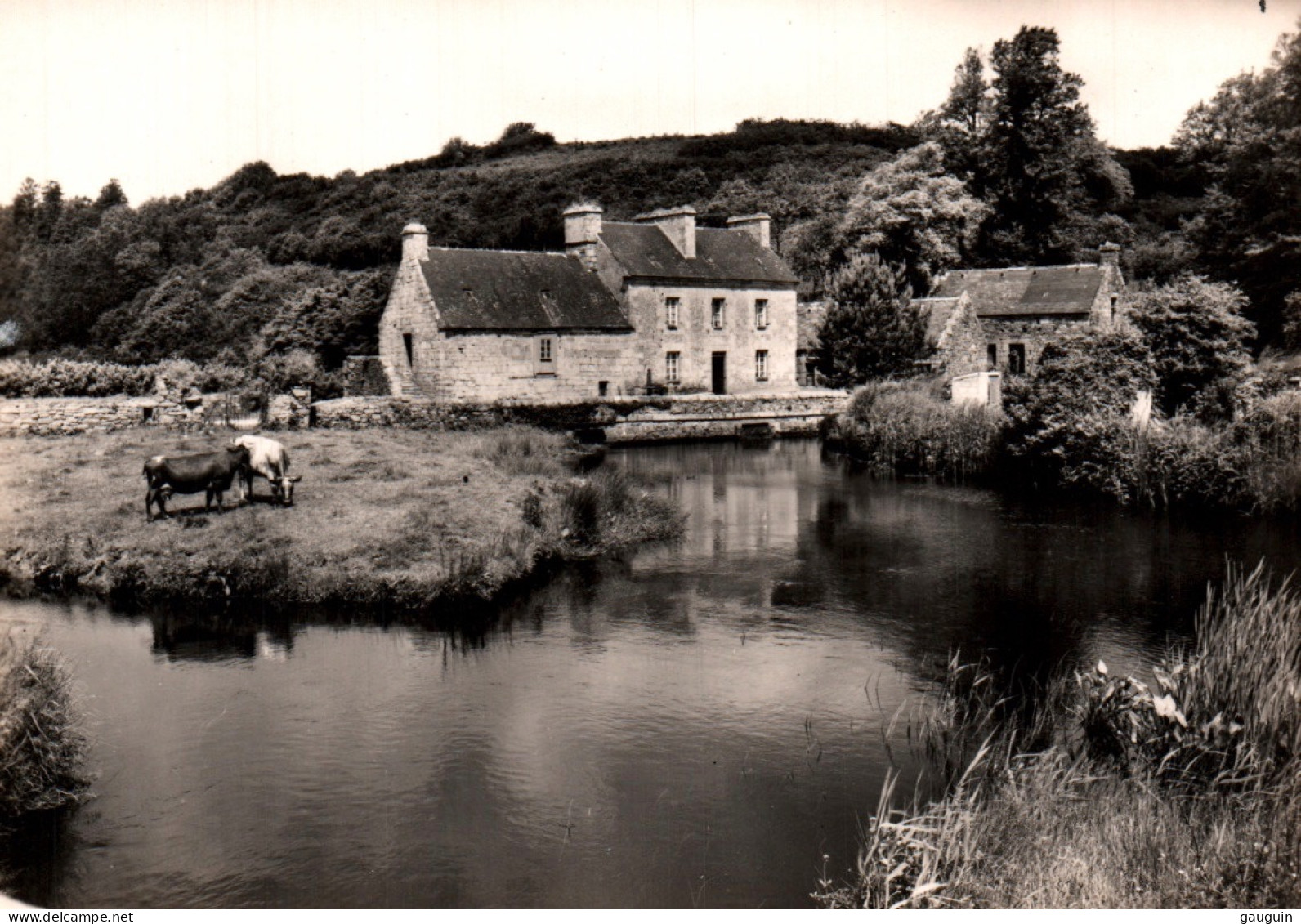 CPSM - Le DIOURIS (PLOUGUERNEAU) - Vieilles Maisons Sur La Rivière - Edition Art Réma - Plouguerneau