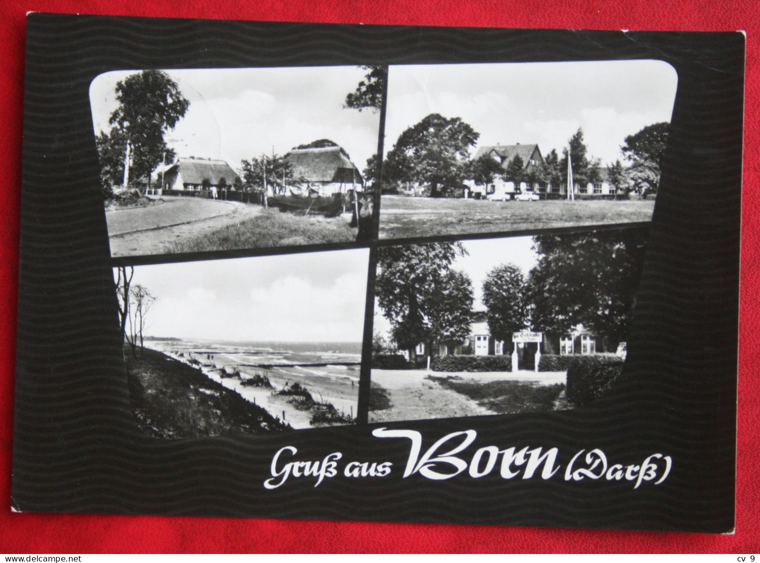 AK Born Barth (Darss) Luftkurort  Heldge Verlag Deutschland DDR Gelaufen Used Postcard A28 - Fischland/Darss