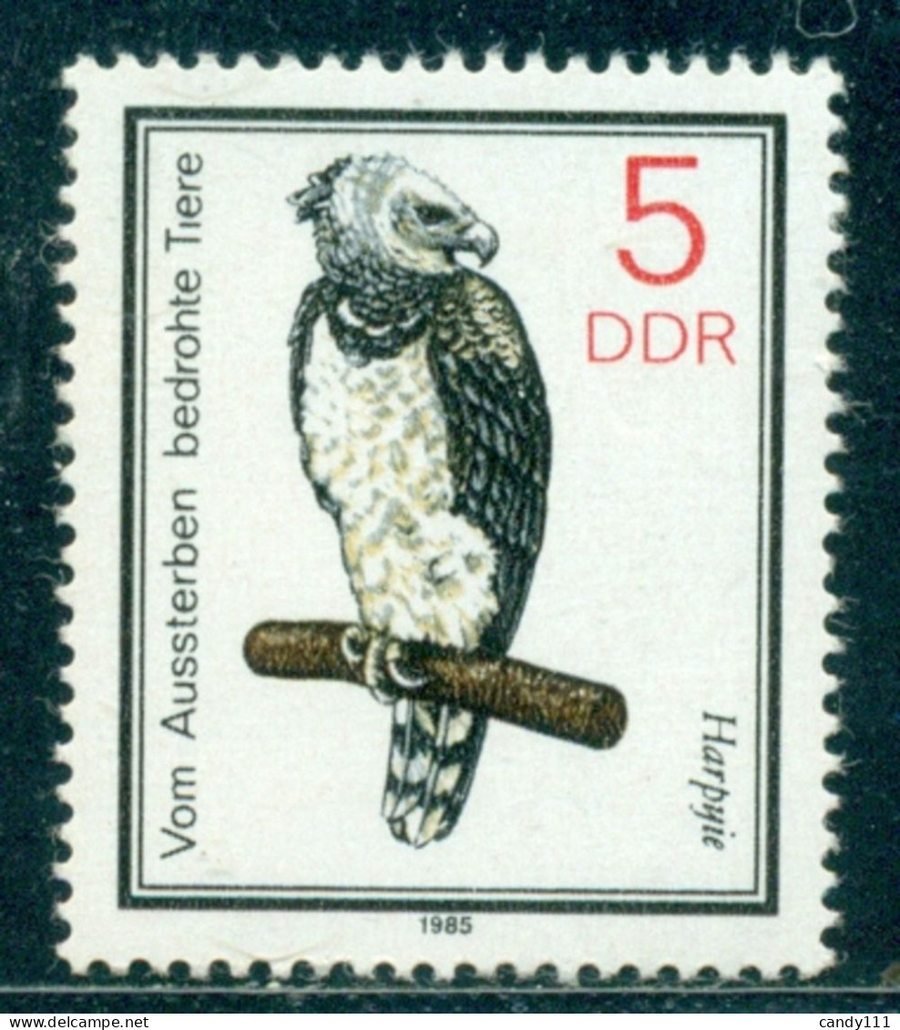 1985 The Harpy Eagle(Harpia Harpyja)/american Harpie/birds Of Prey,DDR,2952,MNH - Aigles & Rapaces Diurnes