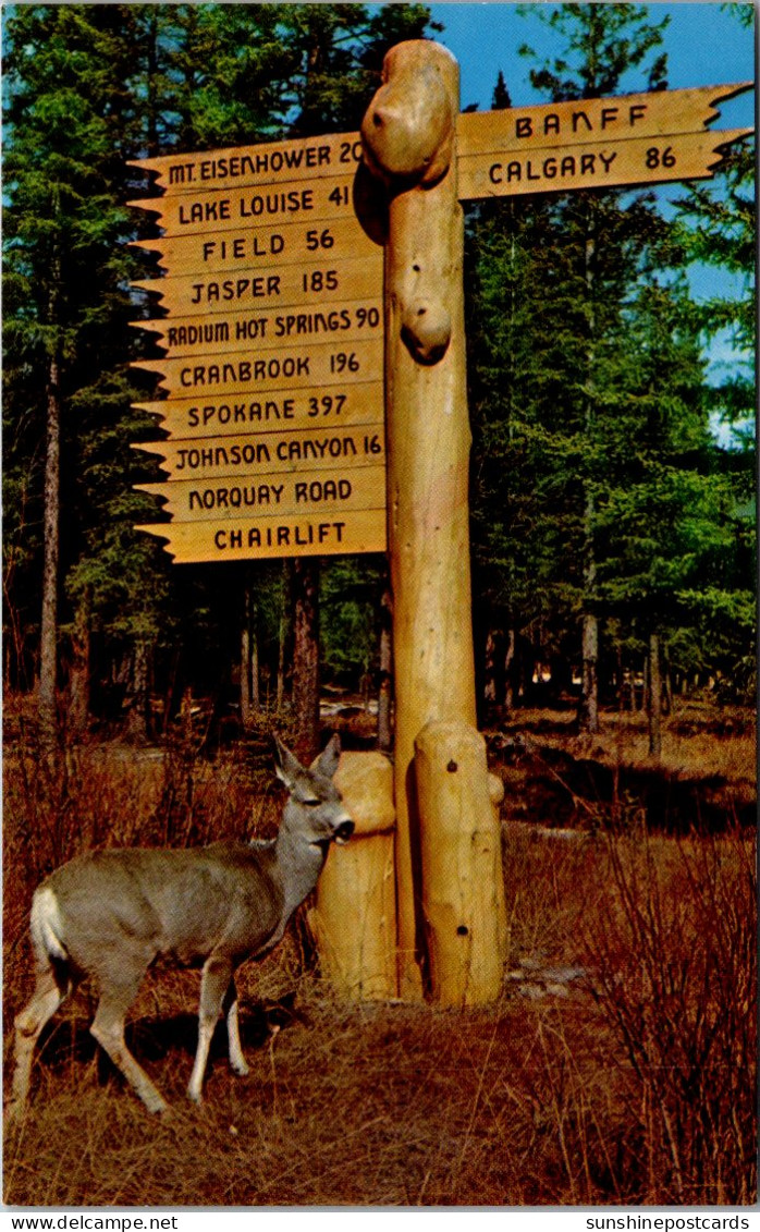 Canada Banff National Park Mule Deer And Rustic Directional Sign Outside Of Banff - Banff