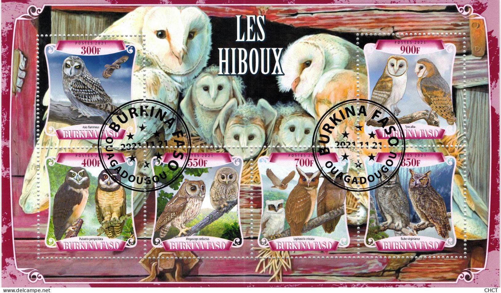 CHCT27 - Owls, Birds, Fauna, Stamp Mini Sheet, Used CTO, 2021, Burkina Faso - Burkina Faso (1984-...)