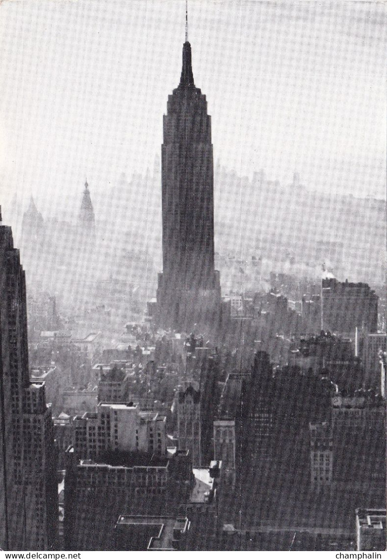 New-York - Vue Prise Du Haut Du Rockfeller Center Vers L'Empire State Building Et Down-Town - Pub Laboratoires Fumouze - Empire State Building