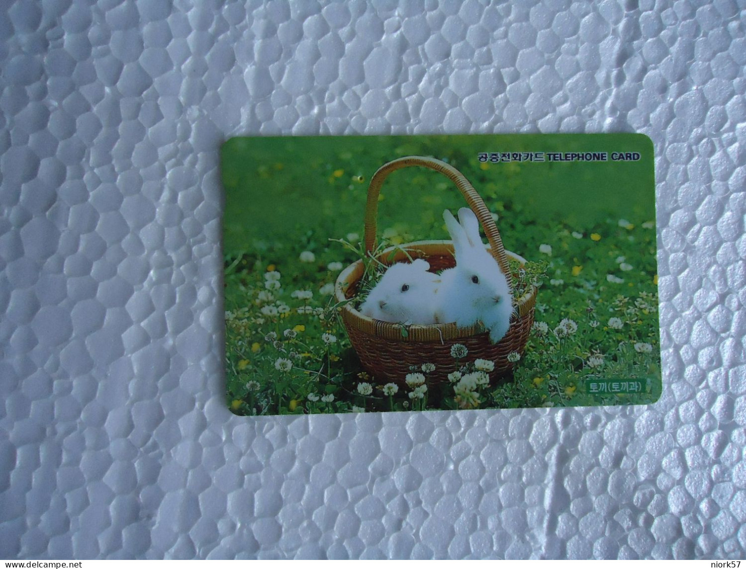 KOREA   USED CARDS ANIMALS RABBITS - Conejos