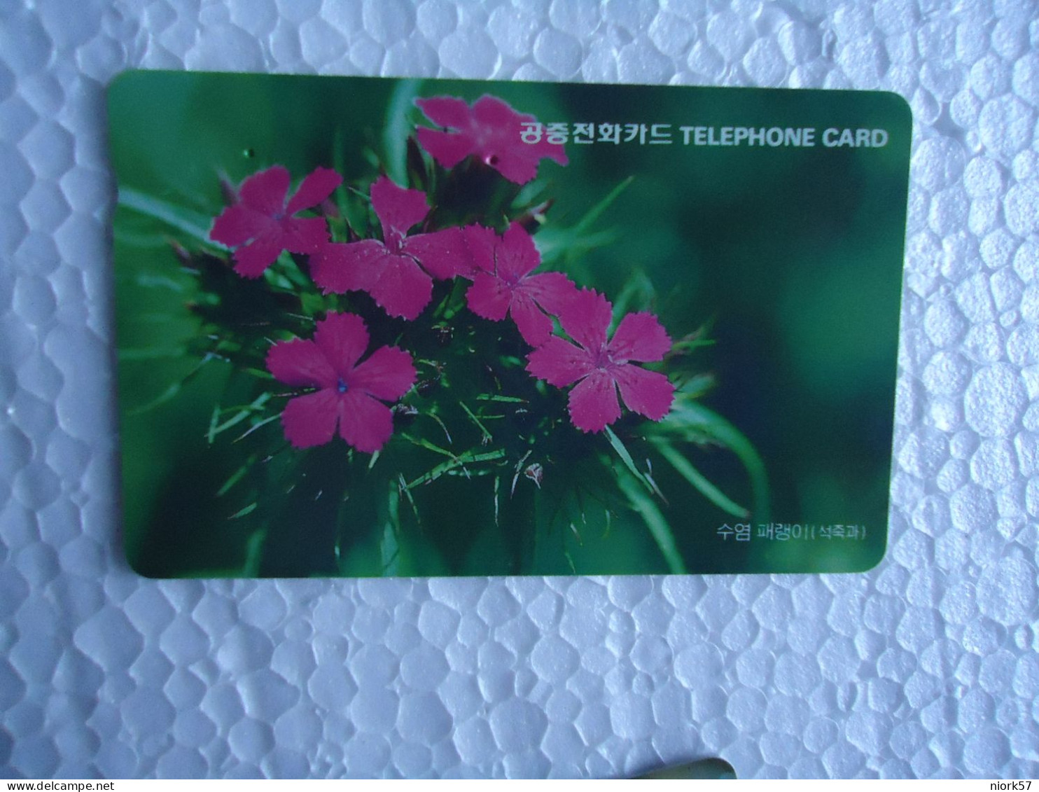 KOREA   USED CARDS  PLANTS FLOWERS - Fleurs