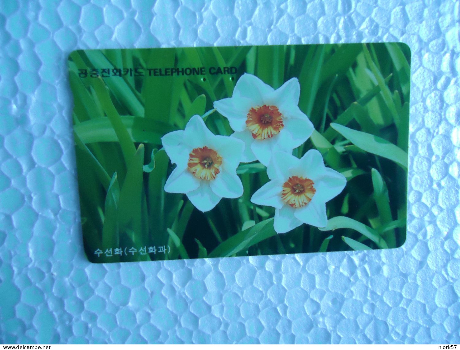 KOREA   USED CARDS  PLANTS FLOWERS - Fleurs