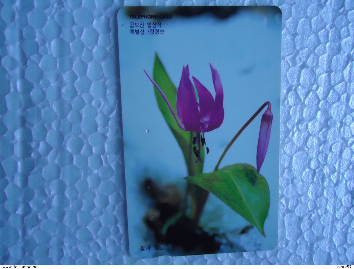 KOREA   USED CARDS  PLANTS FLOWERS - Blumen