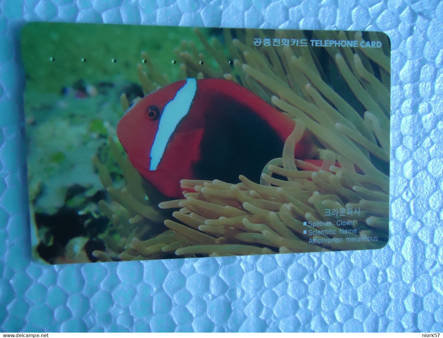 KOREA   USED CARDS  FISH FISHES - Fish