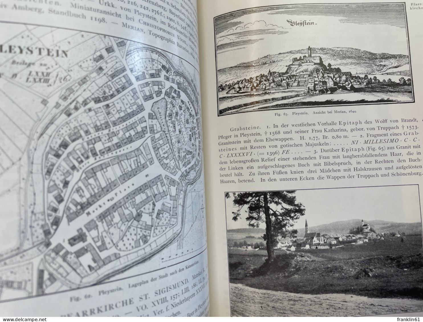 Die Kunstdenkmäler von Oberpfalz & [und] Regensburg; Teil 8., Bezirksamt Vohenstrauss.