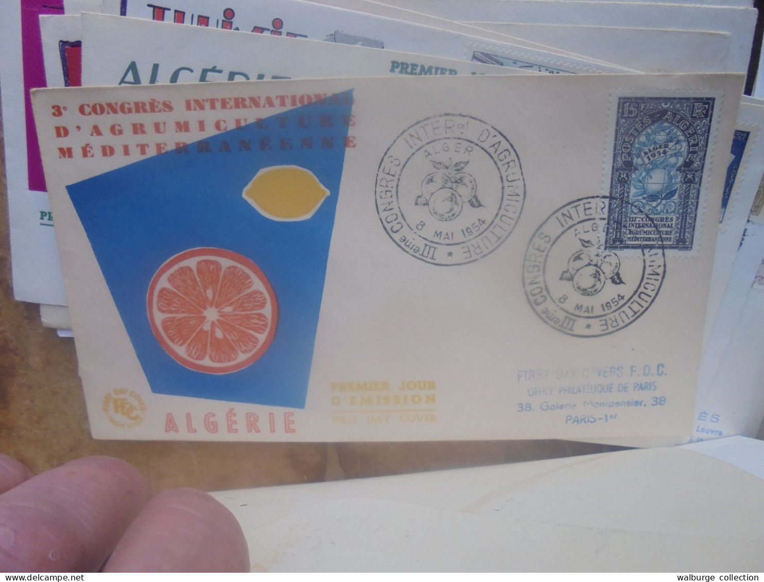 +++ALGERIE-TUNISIE-MAROC  BEAU LOT de 127 FDC+++ (Lire ci-bas)