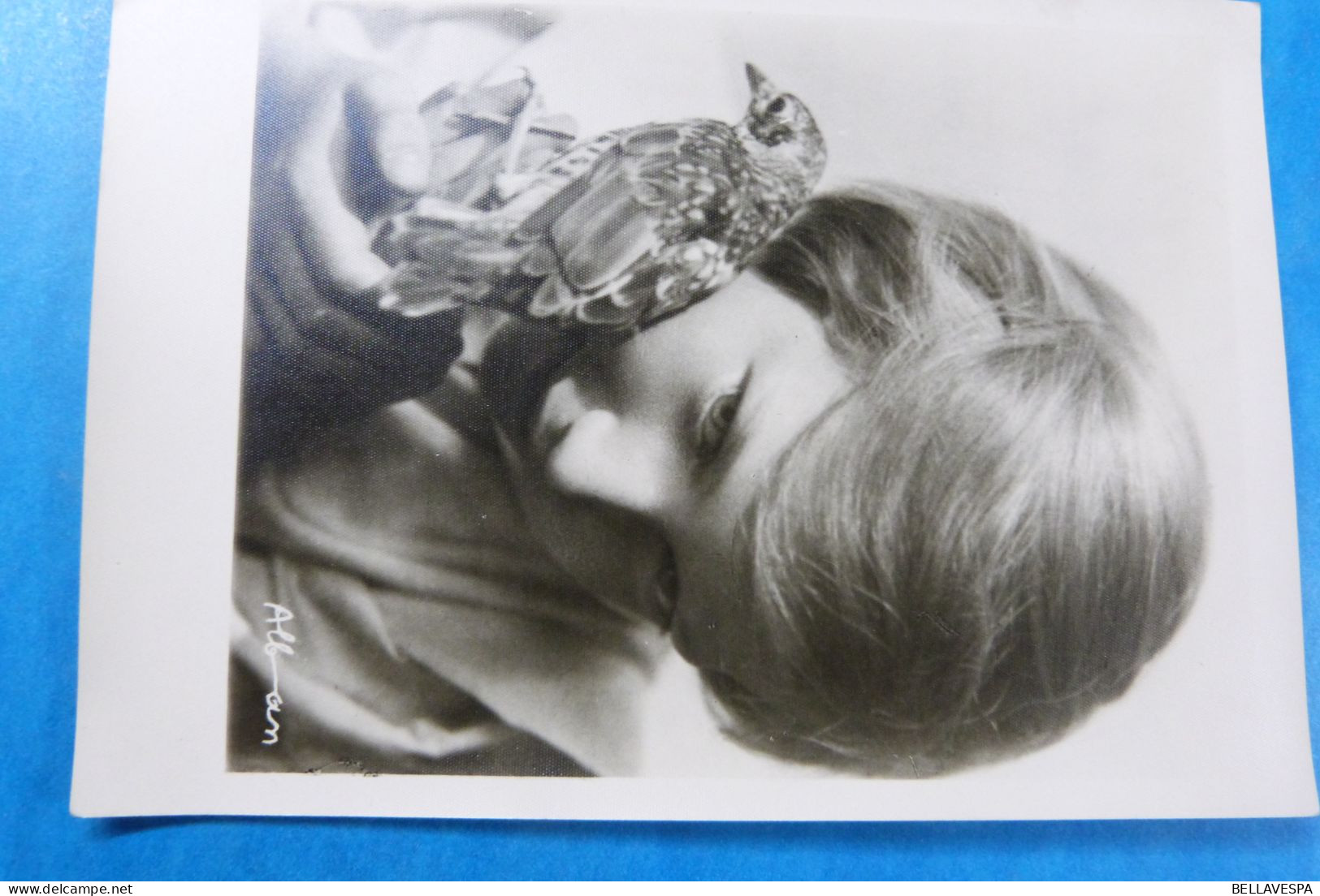 S.A.R. /H.K.H Albert-Astrid Belgique Boudewijn Josephine-Charlotte Luxembourg Lot x 45 postkaarten