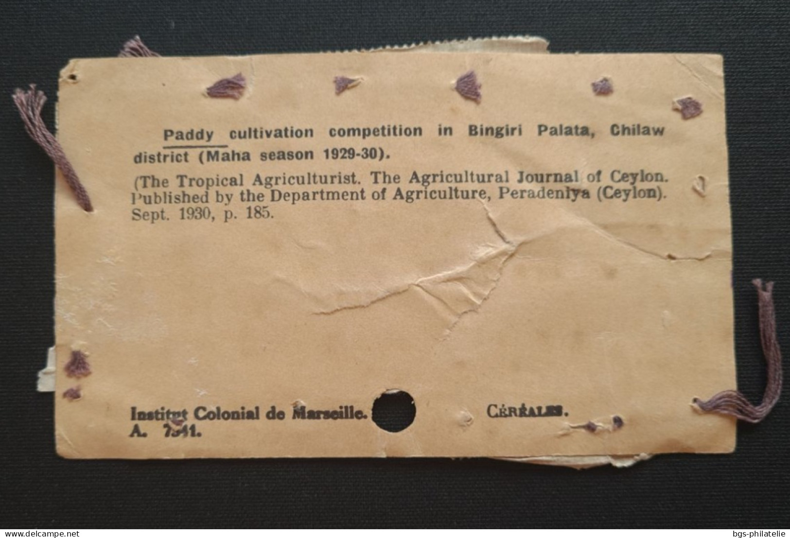 Timbre PA 24 ×4 Sur étiquette Pour Coli En Recommandé. - Lettres & Documents