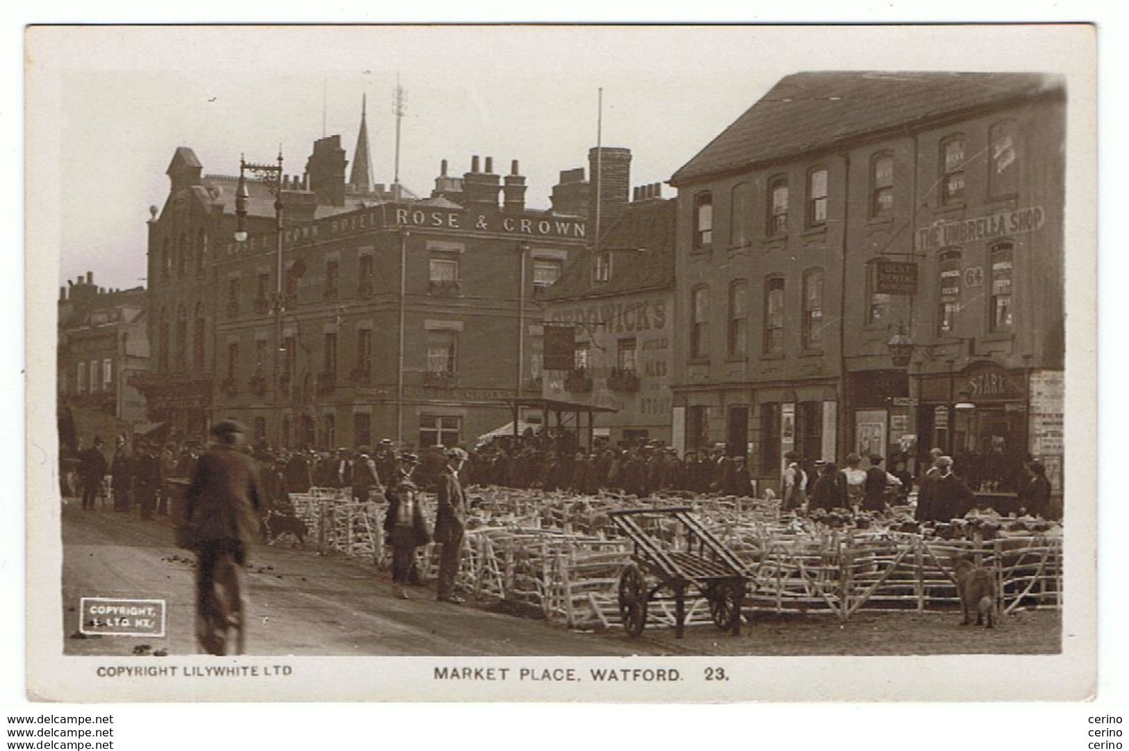 UNITED  KINGDOM:  WATFORD  -  MARKET  PLACE  -  PHOTO  -  FP - Halles