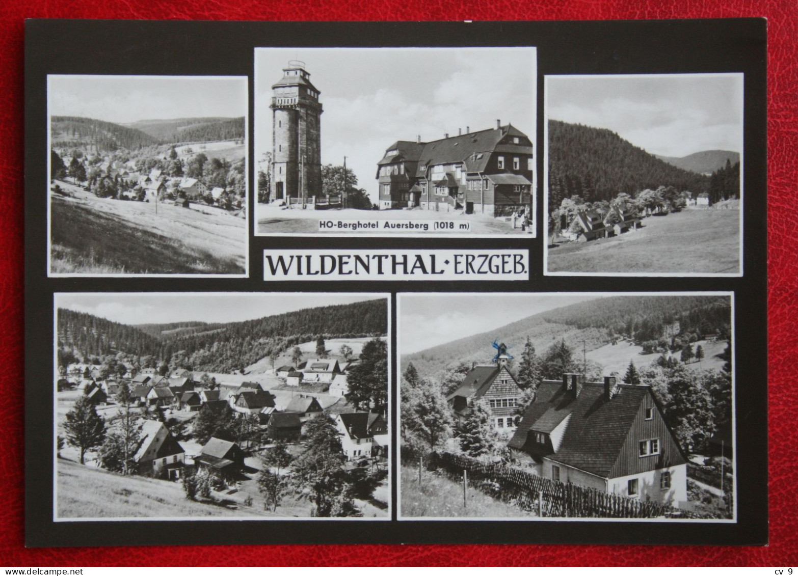 AK Eibenstock Wildenthal Erzgebirge VEB Bild Und Heimat Deutschland DDR Gelaufen Used Postcard A49 - Eibenstock