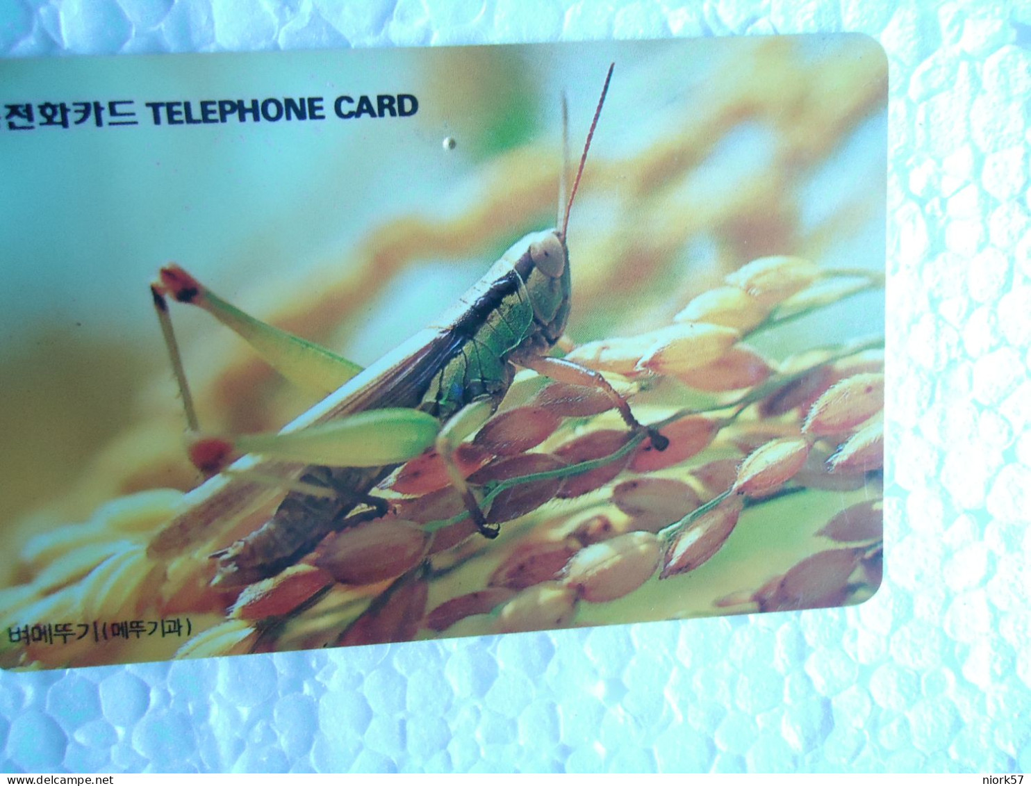 KOREA   USED CARDS  INSECTS - Andere & Zonder Classificatie