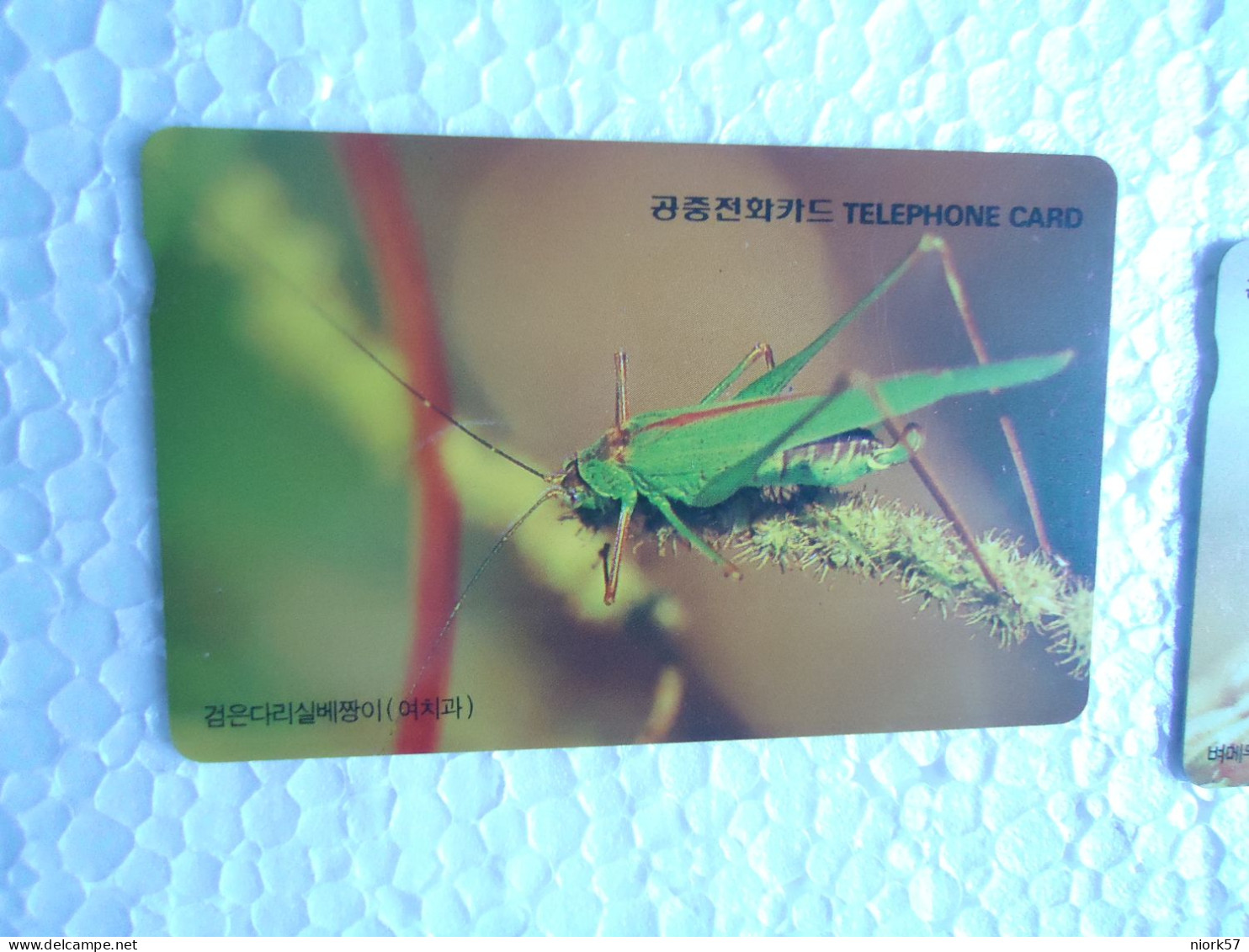 KOREA   USED CARDS  INSECTS - Altri & Non Classificati
