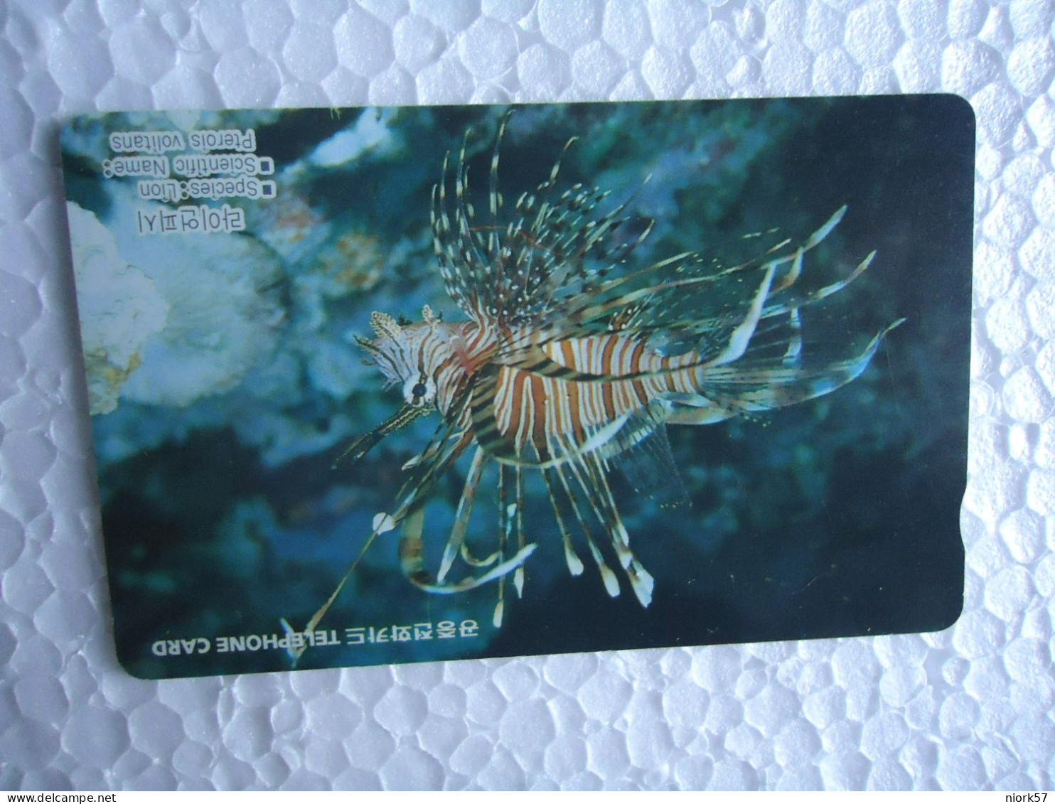 KOREA   USED CARDS  FISHES MARINE LIFE  FISHES - Fish