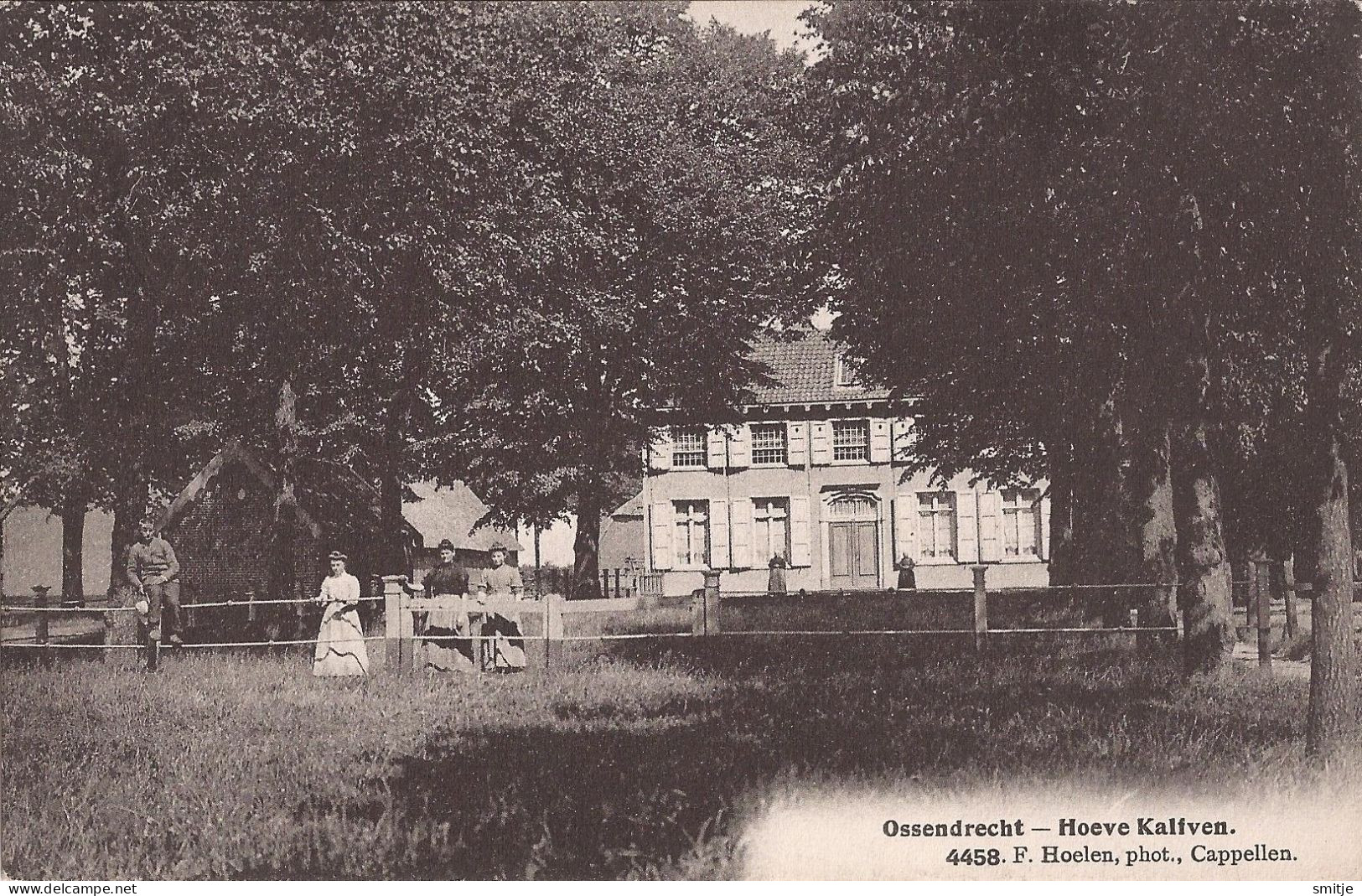 OSSENDRECHT 1910 HOEVE KALFVEN MET MENSEN - MOOIE ANIMATIE - UITG. HOELEN KAPELLEN 4458 - Autres & Non Classés