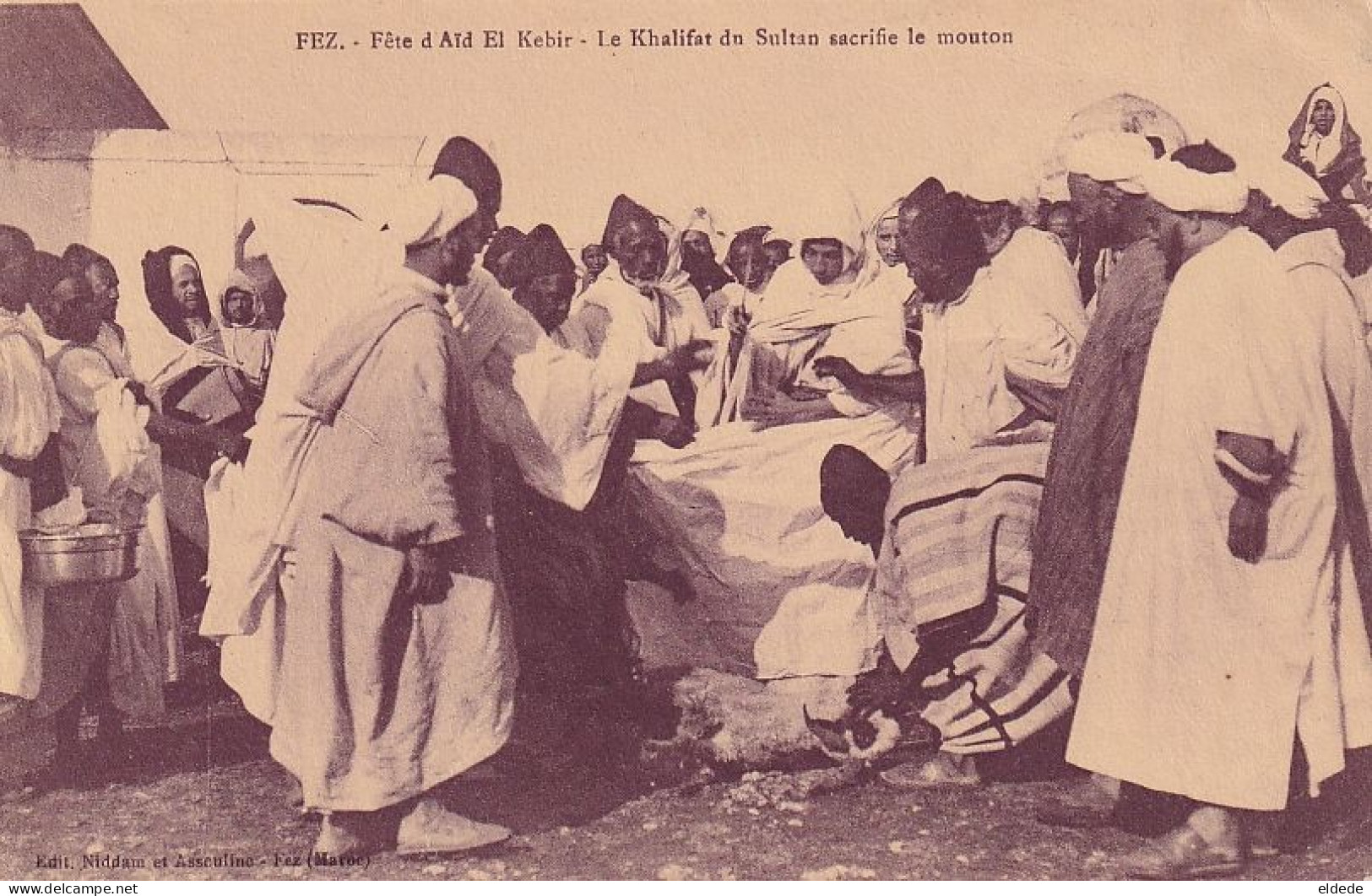 Fez Fete Aid El Kebir Le Khalifat Du Sultan Sacrifie Le Mouton Sheep Sticking Cruauté Animale - Islam