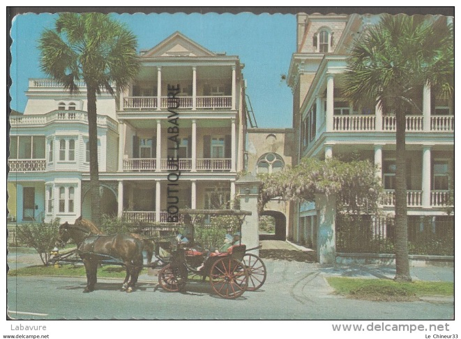 ETATS UNIS--SOUTH CAROLINA--Charleston--Soth Battery Homes-Horse & Card---Nice Card - Charleston