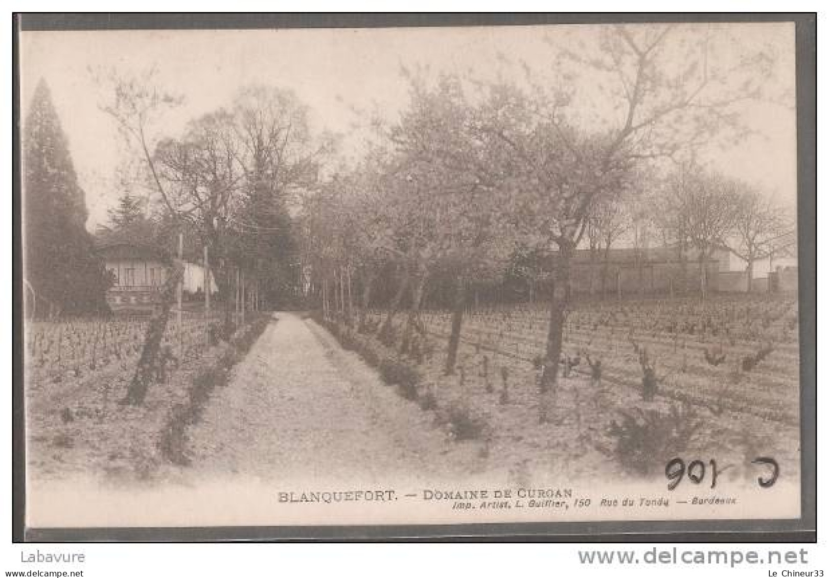 33-----BLANQUEFORT---DOMAINE  DE CURGAN----vignes Et Chateau - Blanquefort