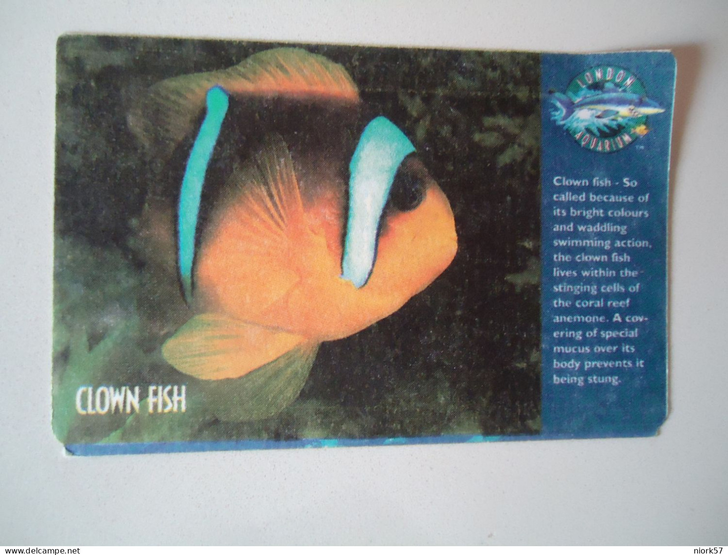 UNITED   KINGDOM  TICKETS  FISH FISHES   2 SCAN - Peces