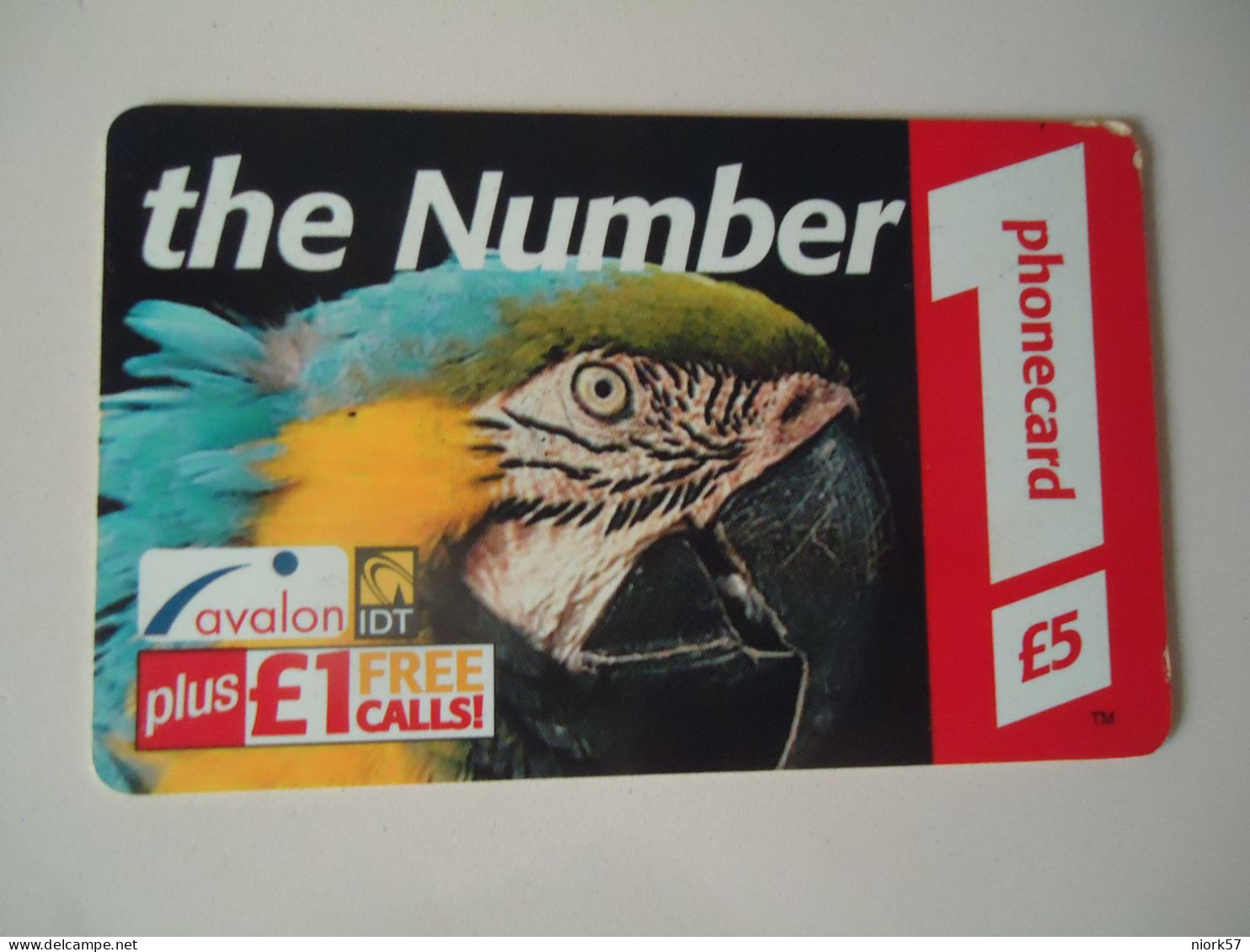 UNITED   KINGDOM   CARDS     PAROTTS BIRD BIRDS - Pappagalli