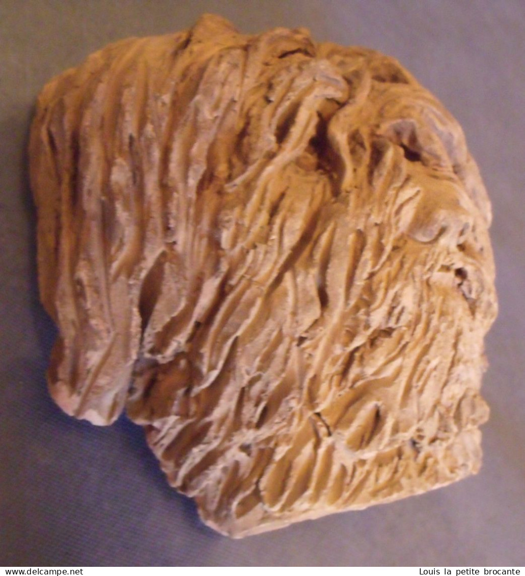 Œuvre d'Art - Sculpture de tête de chien genre Puli, en terre cuite non peint , non signée, à poser ou applique