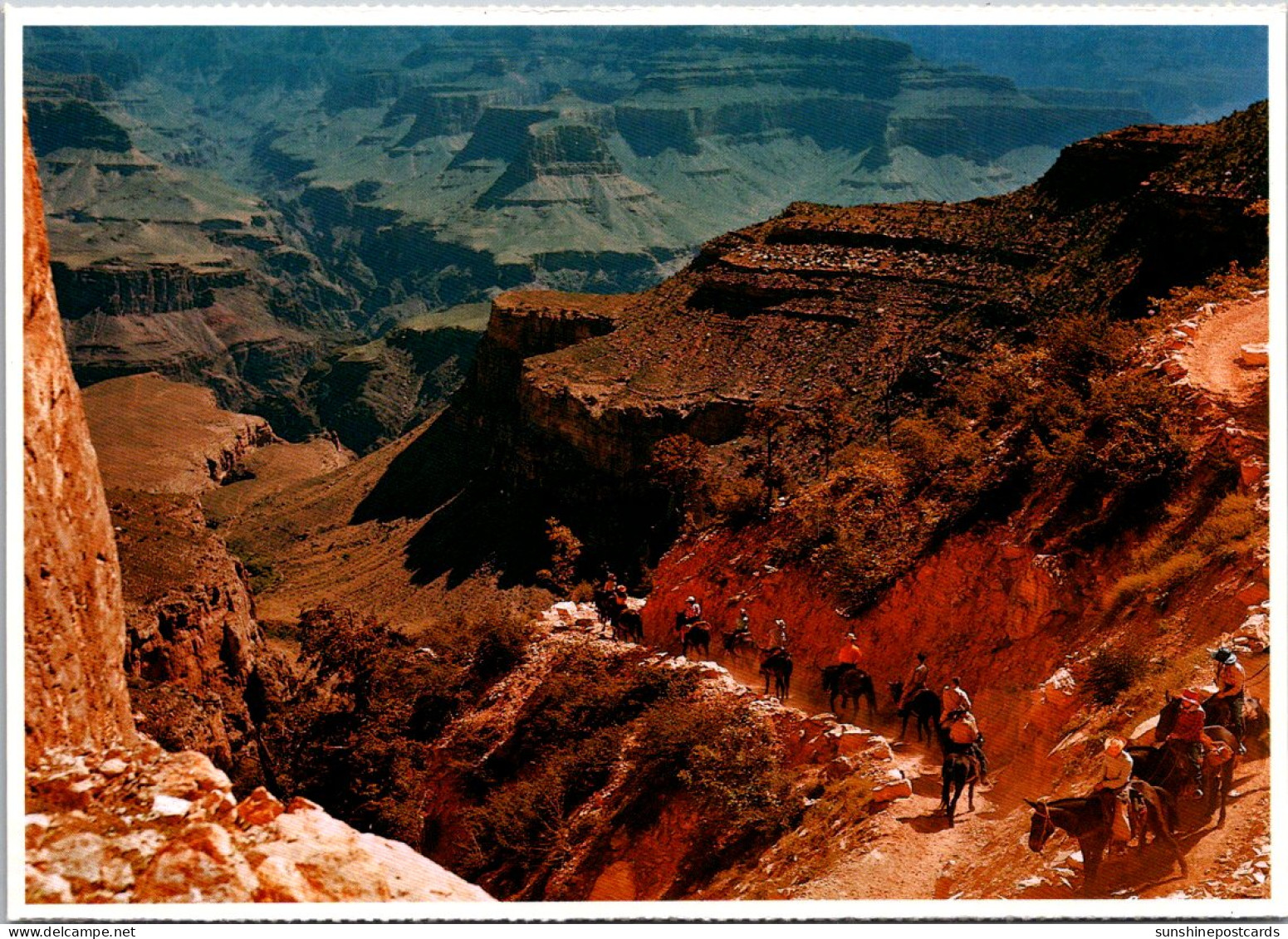 Arizona Grand Canyon National Park Daily Mule Train Descending To The Canyon Floor - Grand Canyon