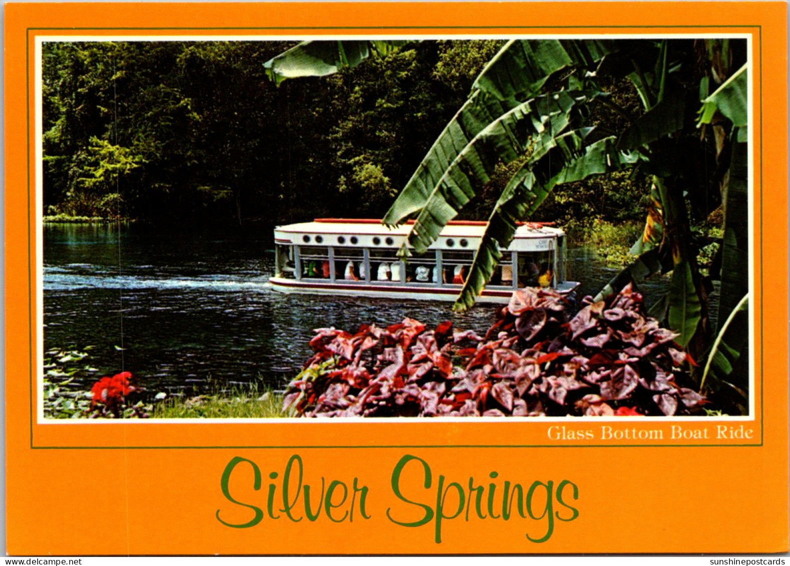 FLorida Silver Springs Glass Bottom Boat Ride - Silver Springs