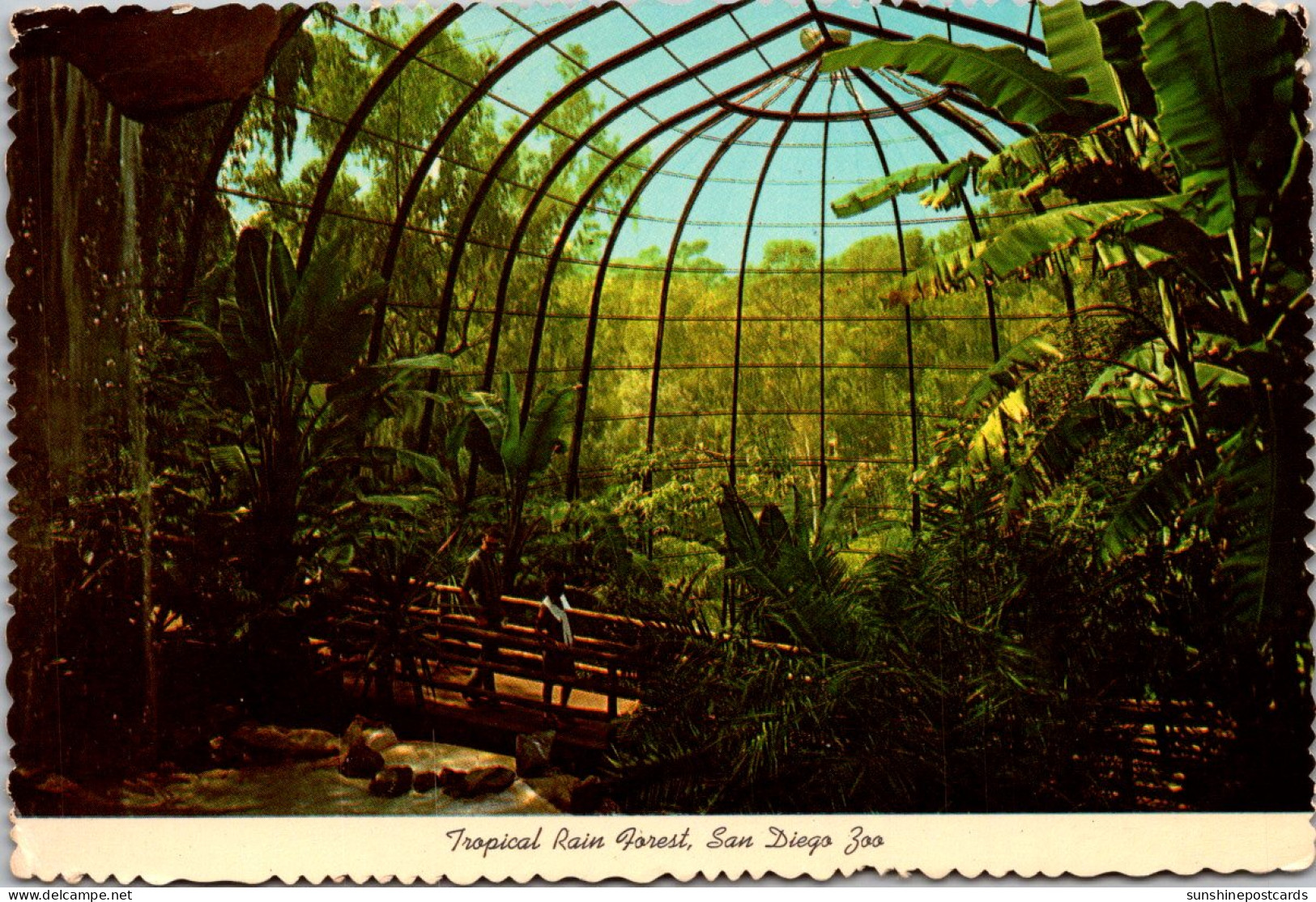 California San Diego Zoo Tropical Rain Forest Walk Through Bird Cage - San Diego