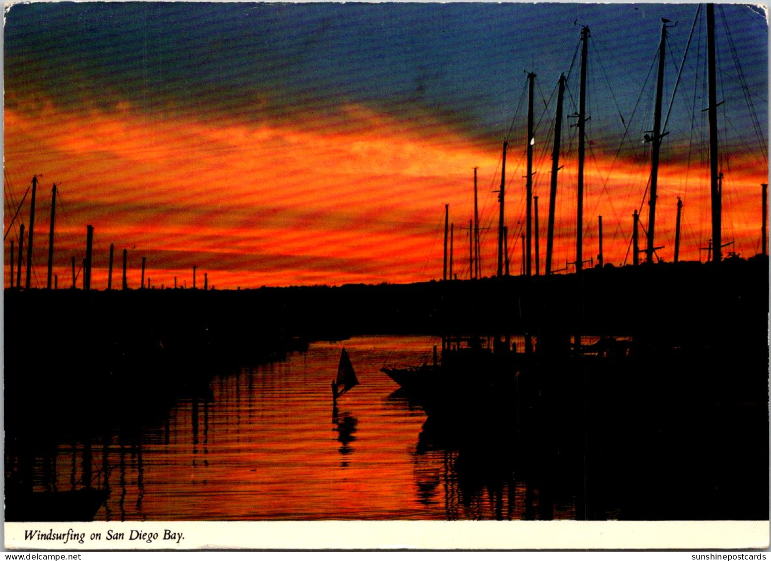 California San Diego Bay Windsurfing At Sunset - San Diego