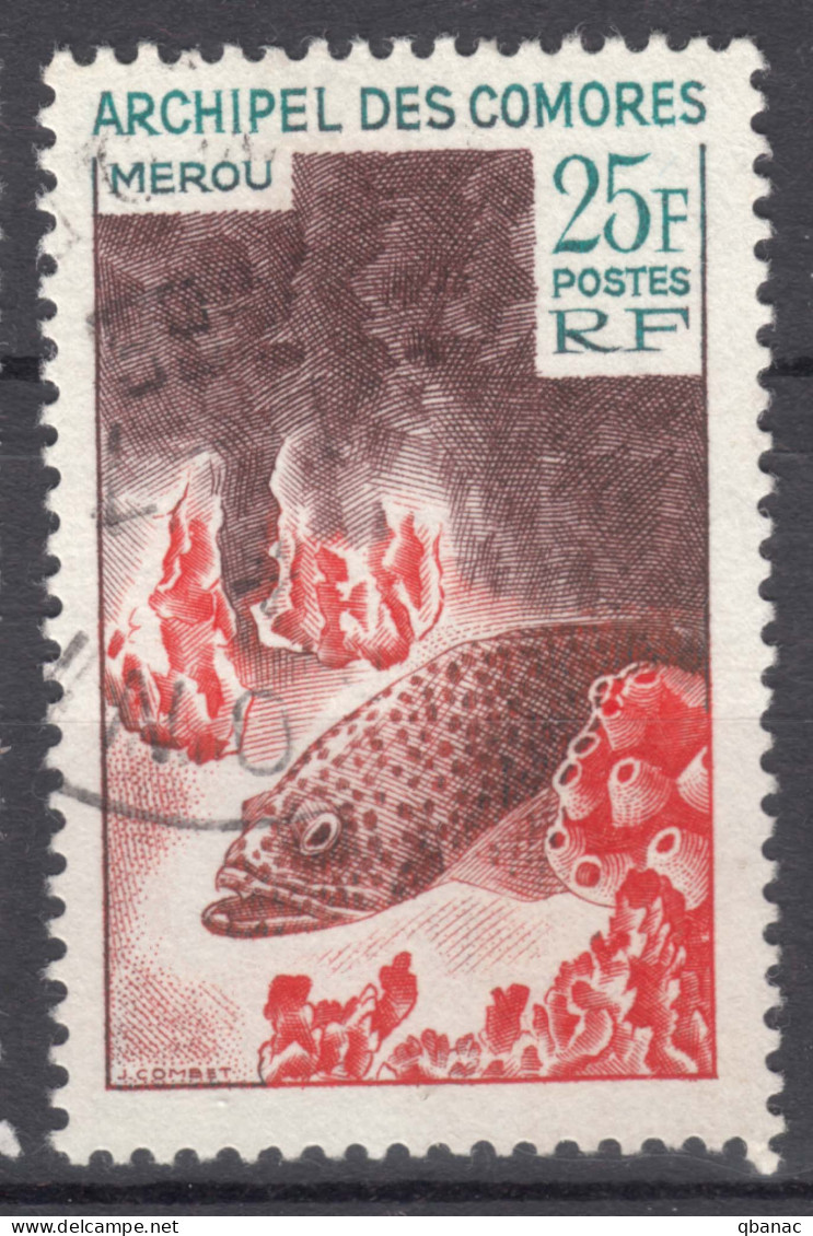 French Comores, Comoro Islands 1965 Fish Mi#71 Used - Gebruikt