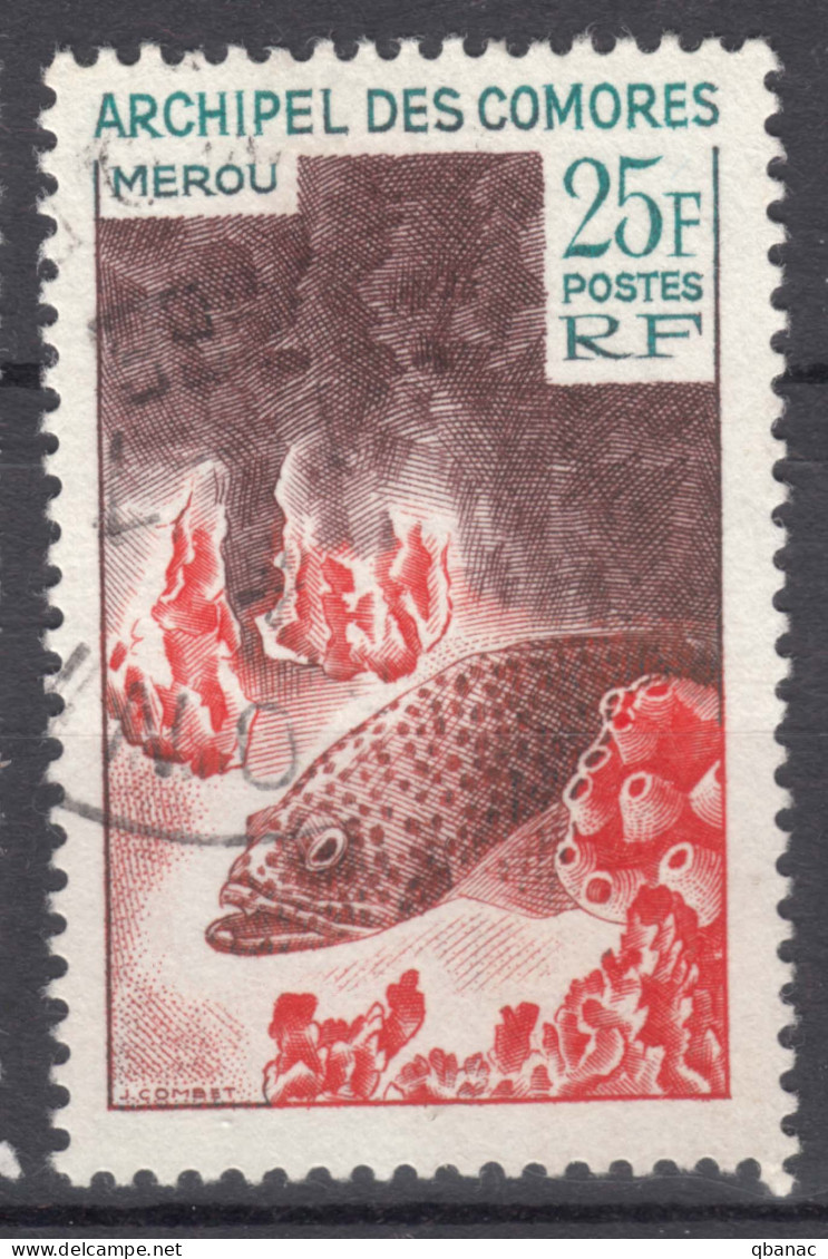 French Comores, Comoro Islands 1965 Fish Mi#71 Used - Used Stamps