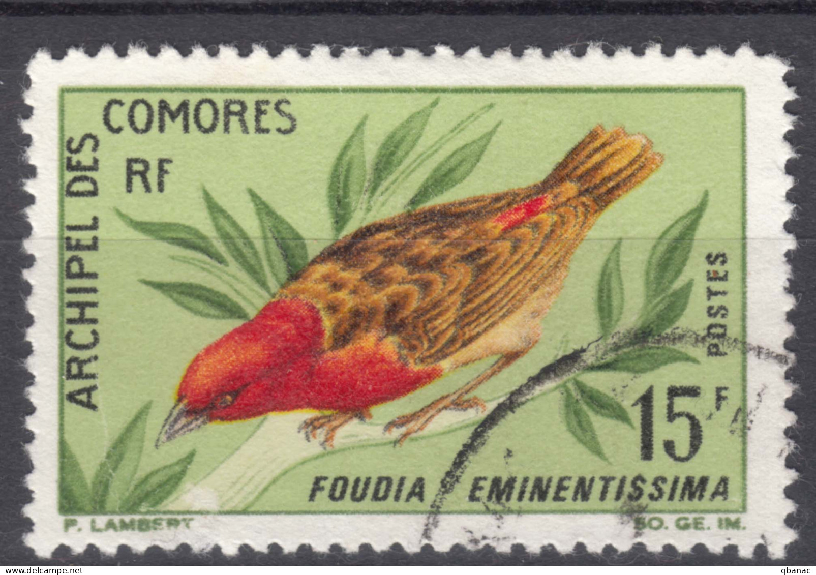 French Comores, Comoro Islands 1967 Birds Mi#81 Used - Used Stamps