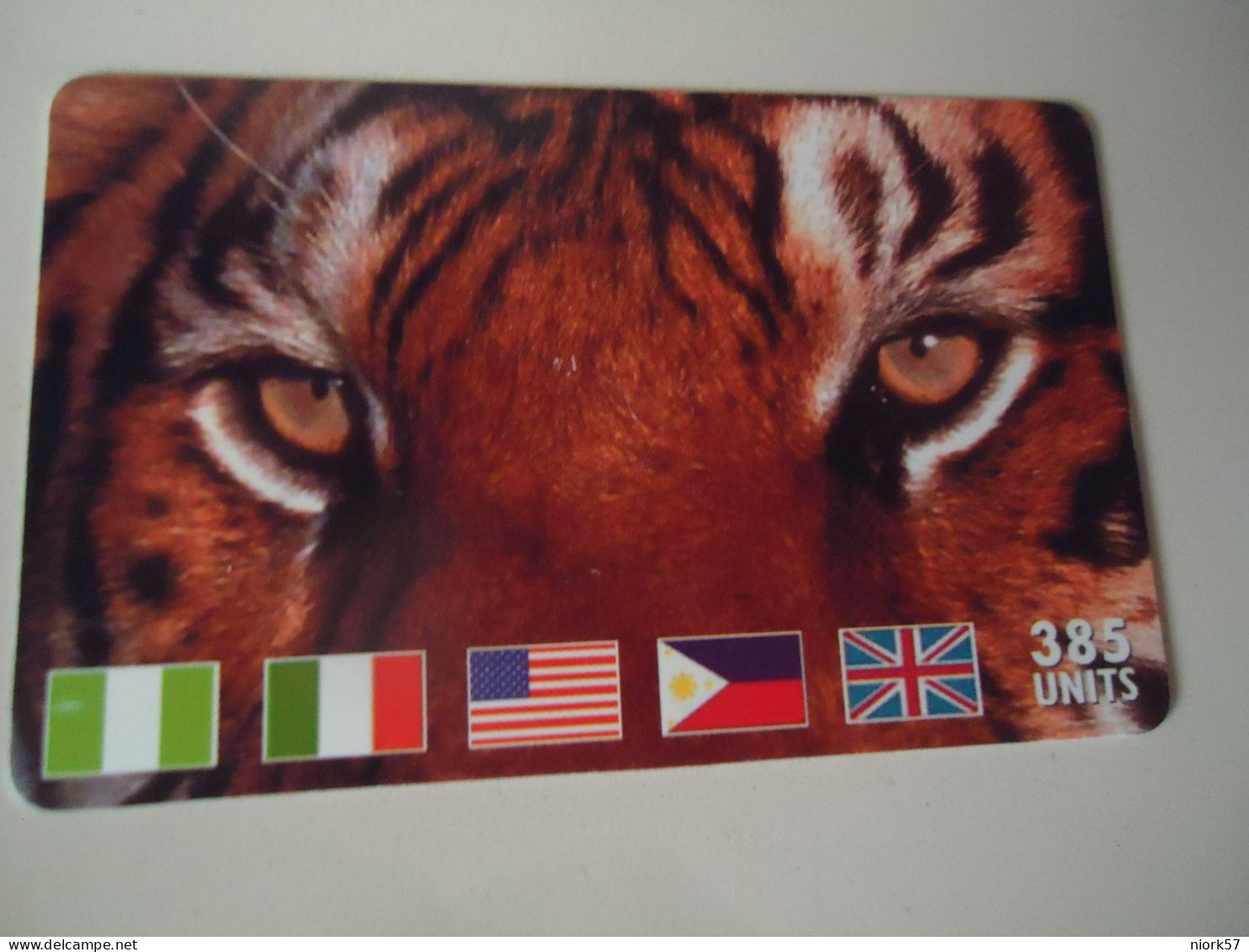 ANIMALS USED CARDS LION - Giungla