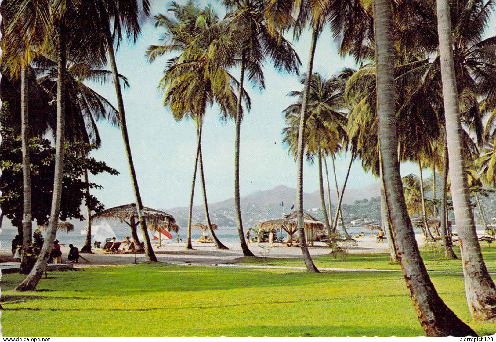 Grenade - Plage De Grande Anse - Grenada