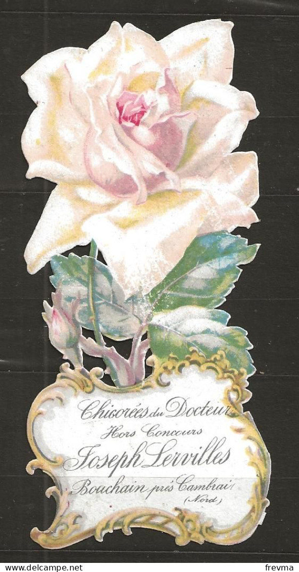 Découpis Gaufrée Chicorée Du Docteur Lervilles Année 1900 - Flowers