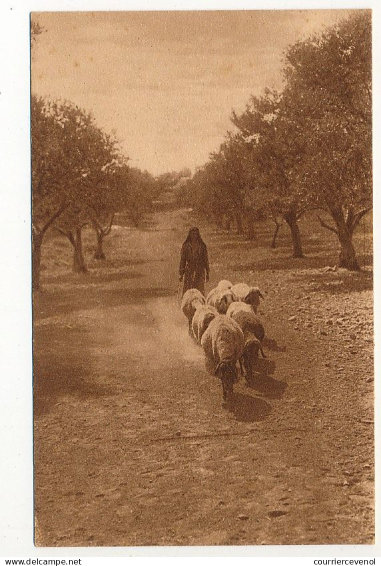 CPA - (Israël) - Sur Le Chemin De Bethléhem - Israël