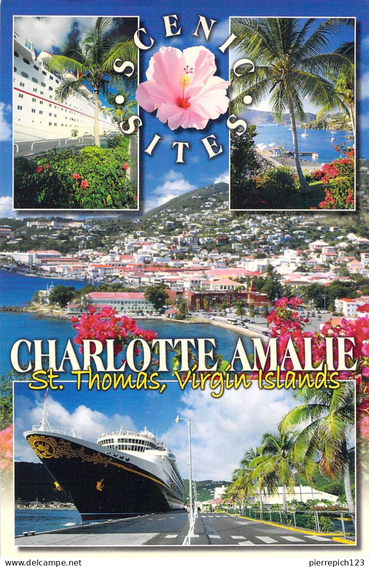 Saint Thomas - Charlotte Amélie - Multivues - Virgin Islands, US