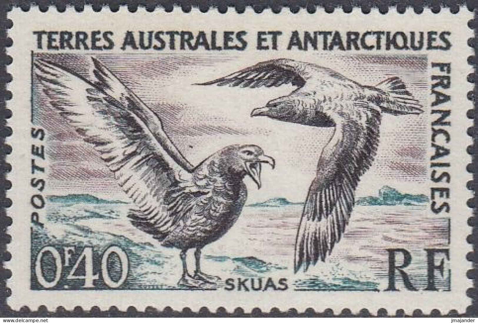 French South And Antarctic Terr. (TAAF) 1959 - Definitive Stamp: Great Skua (bird) - Mi 15 ** MNH [1759] - Neufs
