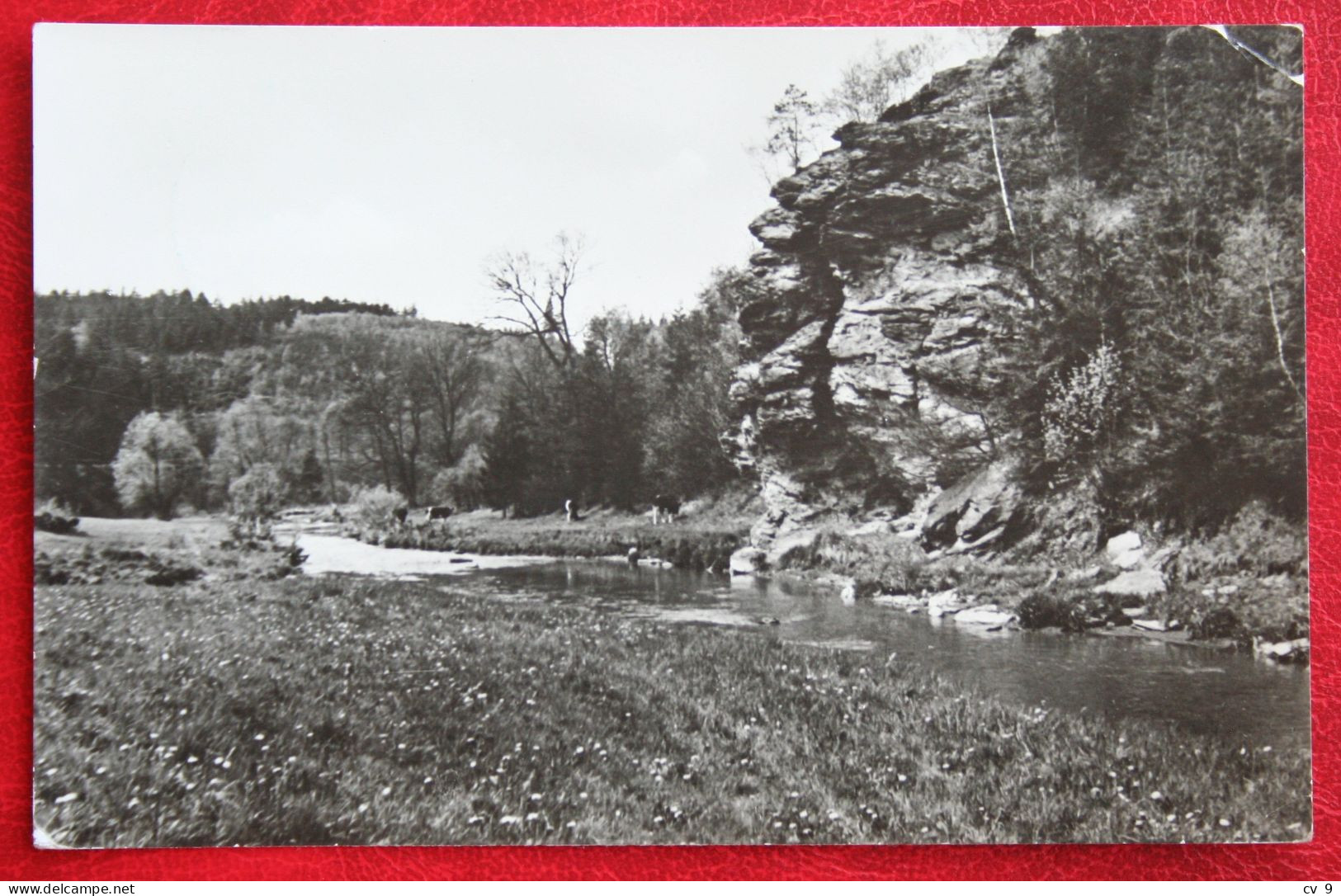 AK Reichenbach Im Schonen Goltzschtal Fotografischer Verlag R Kallmer Deutschland DDR Gelaufen Used Postcard B17 - Reichenbach I. Vogtl.