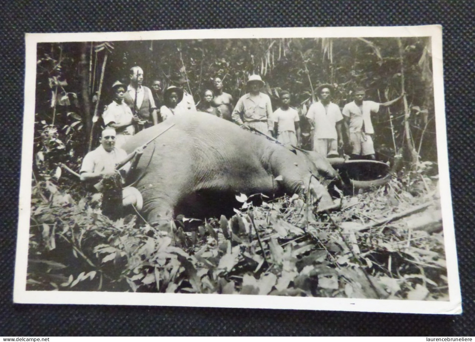 LE GABON TOURISTIQUE -PHOTO VERITABLE - OGOOUE MARITIME - FERNAND VAZ - VALLEE DU REMBO N'KOMI  - UNE BONNE CHASSE - Gabon