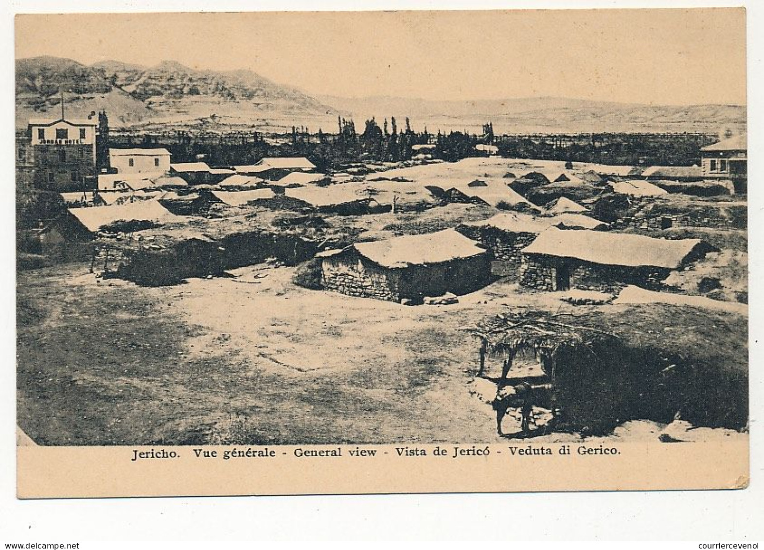 CPA - JERICHO (Israël) - Vue Générale - Israel