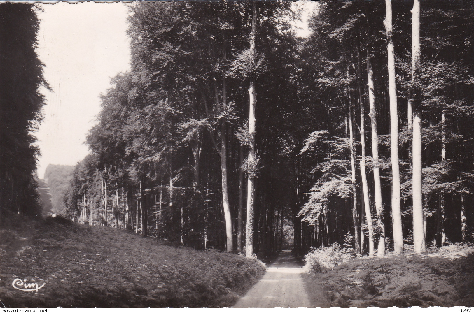 SEINE MARITIME BELLENCOMBRE LA LIGNE DES LIMOUSINS - Bellencombre