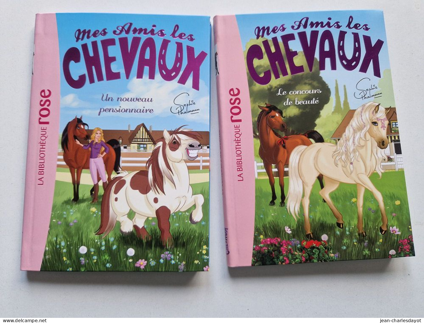 Lot 2 Livres Mes Amis Les Chevaux Numéros 1 Et 10 / 6-8 Ans - Bibliotheque Rose