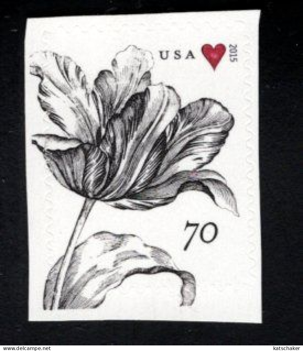 1857516567 2015 SCOTT 4960 (XX)   POSTFRIS MINT NEVER HINGED   - TULIP AND HEART - Ungebraucht