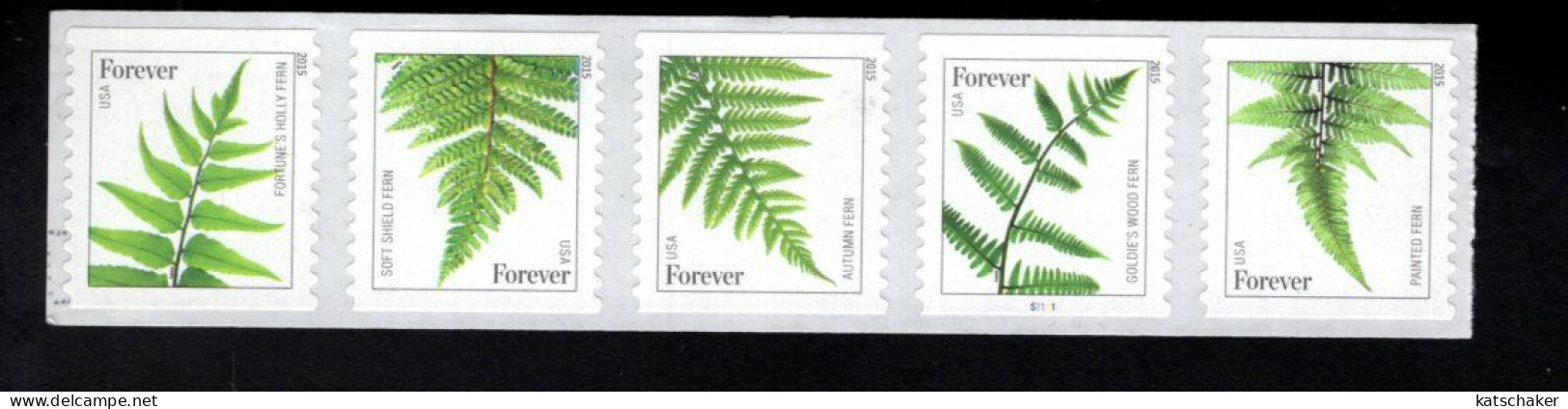 1857519666 2015 SCOTT 4977C (XX)   POSTFRIS MINT NEVER HINGED   - FLORA - FERNS WITH PLATE PCN S1111 - Ongebruikt