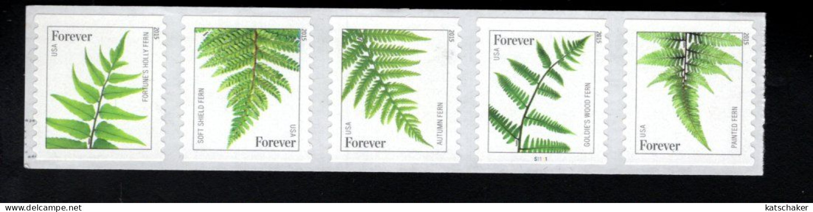 1857519666 2015 SCOTT 4977C (XX)   POSTFRIS MINT NEVER HINGED   - FLORA - FERNS WITH PLATE PCN S1111 - Unused Stamps